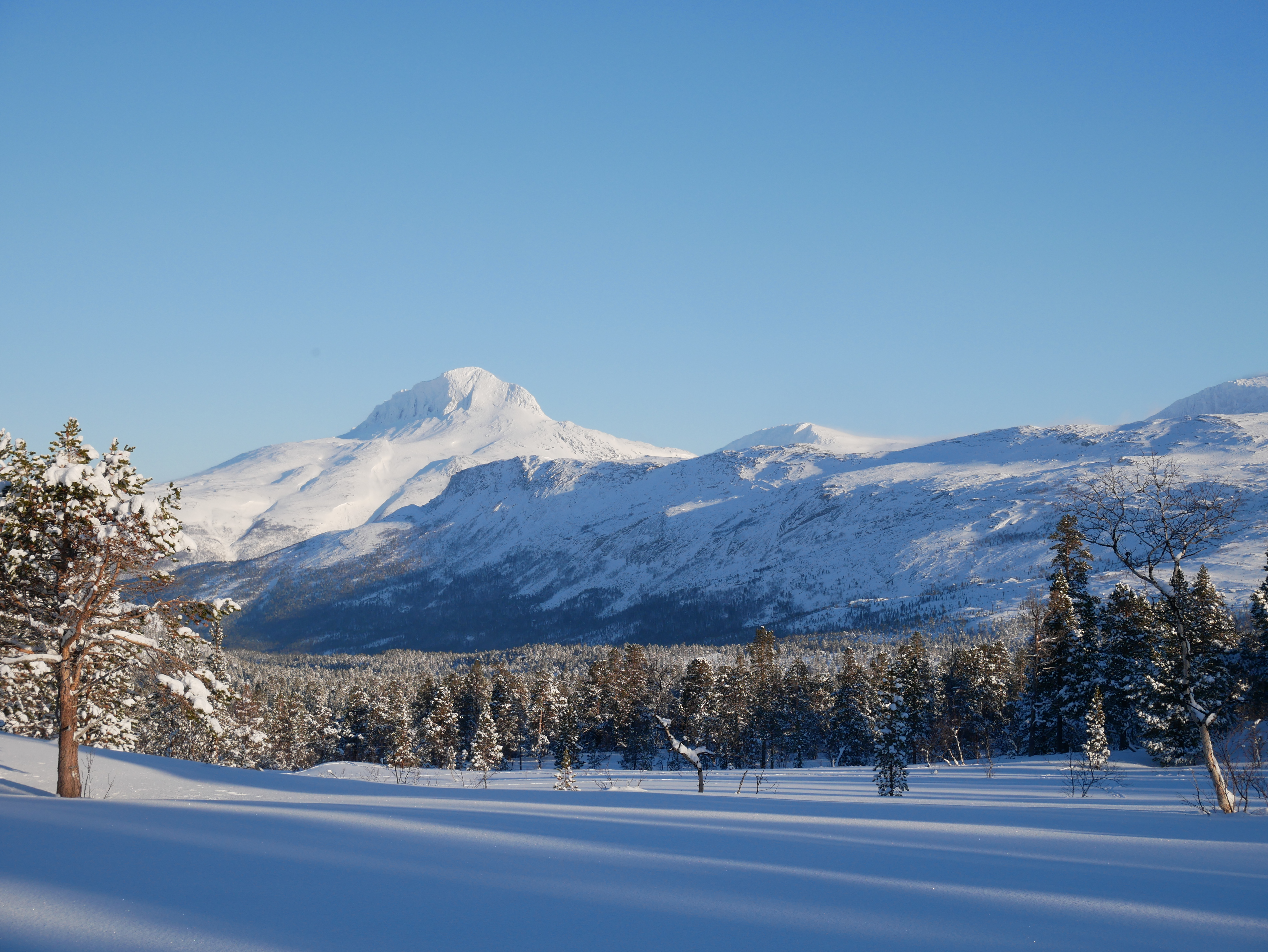 C162EC69-CCD3-41E1-A95D-59C53631E7A1