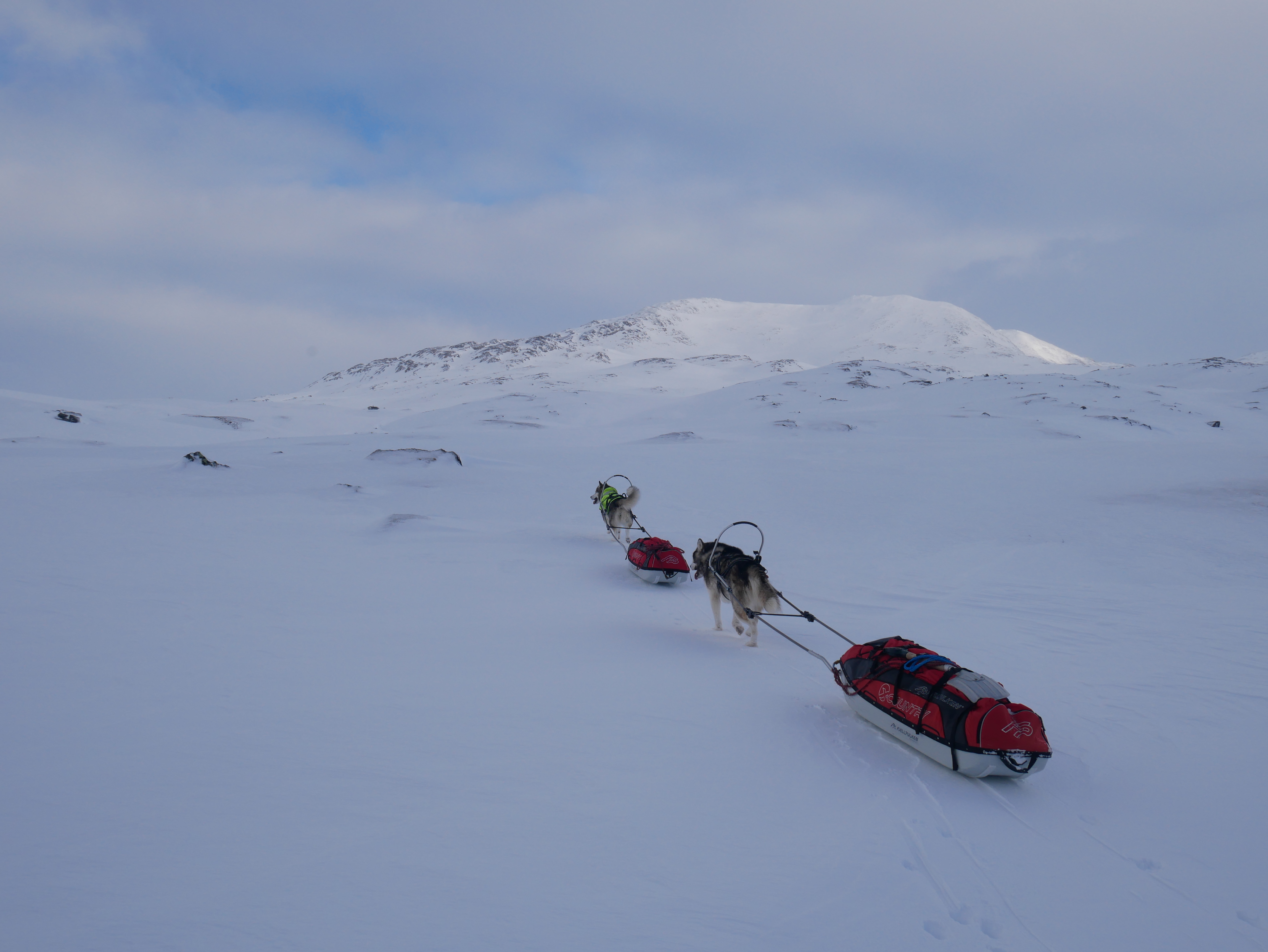 D2A77783-7DF9-4342-B5ED-9C82D0CD2C21