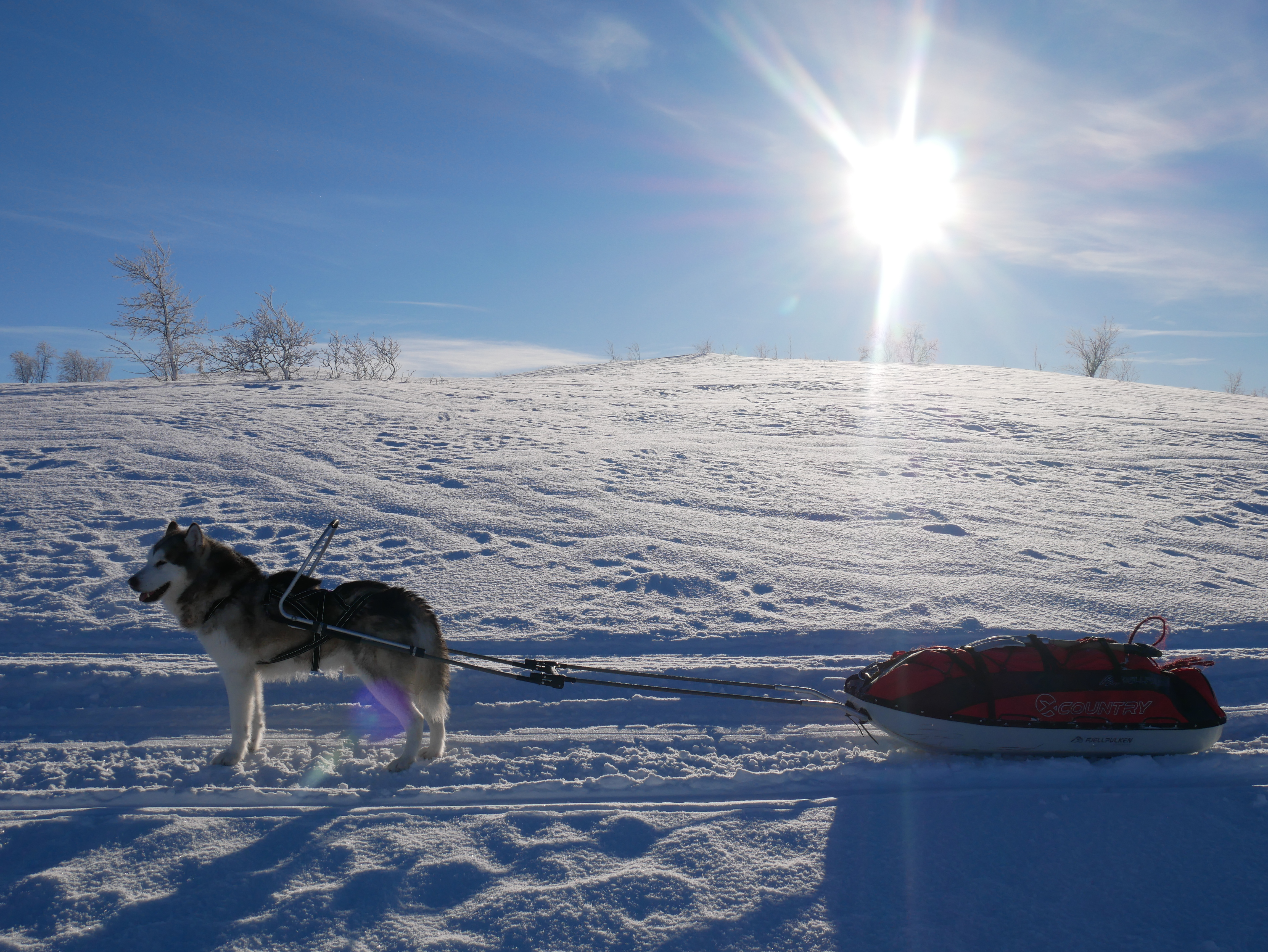 DD45B6CB-C317-4BF7-959C-68BCBC638668