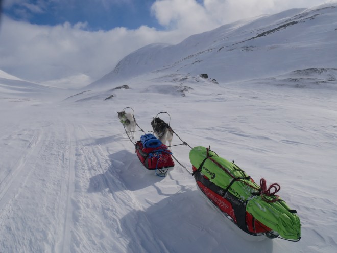 DFEAD3CE-0E28-439C-A7F7-A5A25A5BBBD1