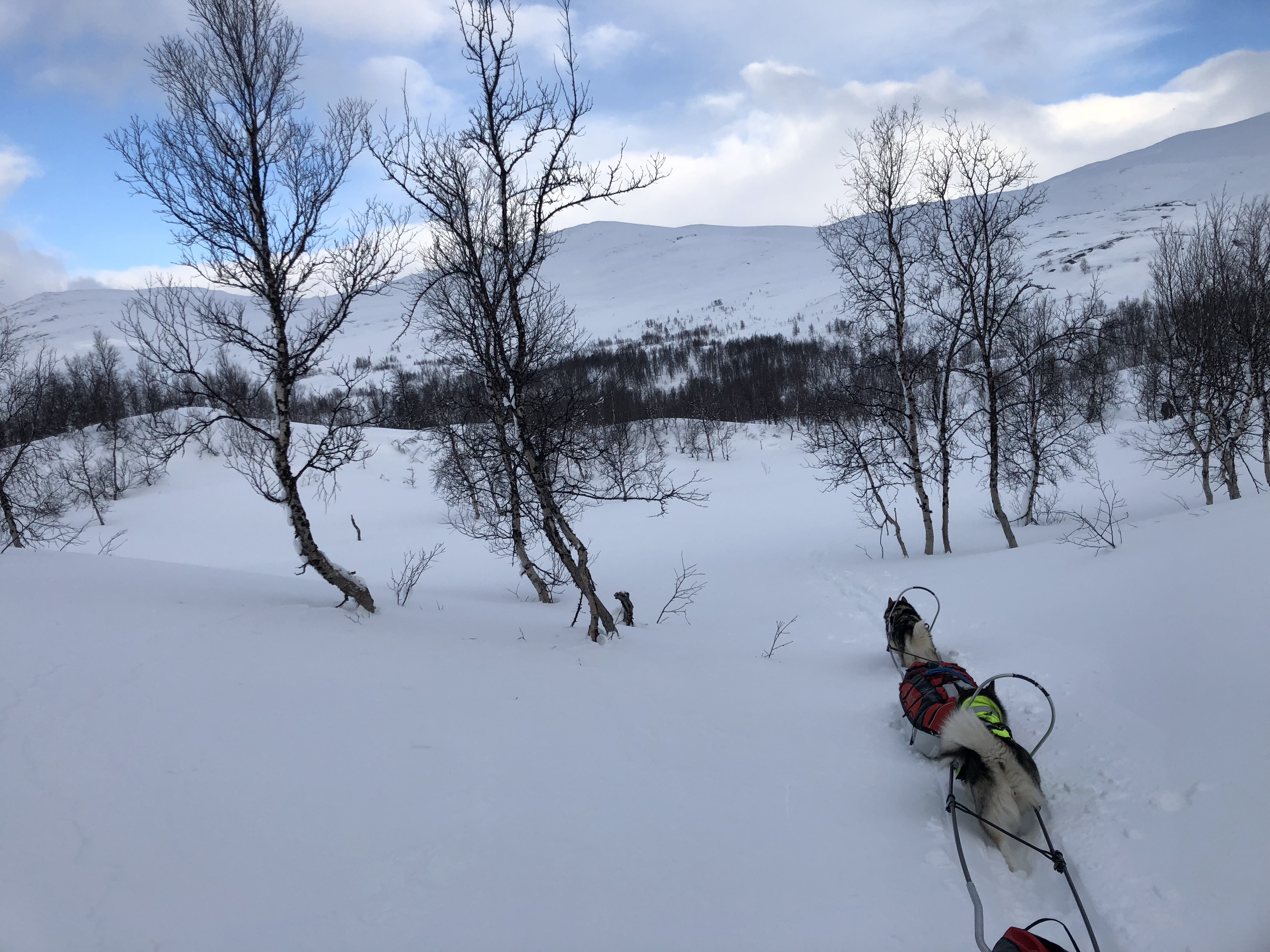 F374B1D8-3552-4428-83A2-3FBC442DA845