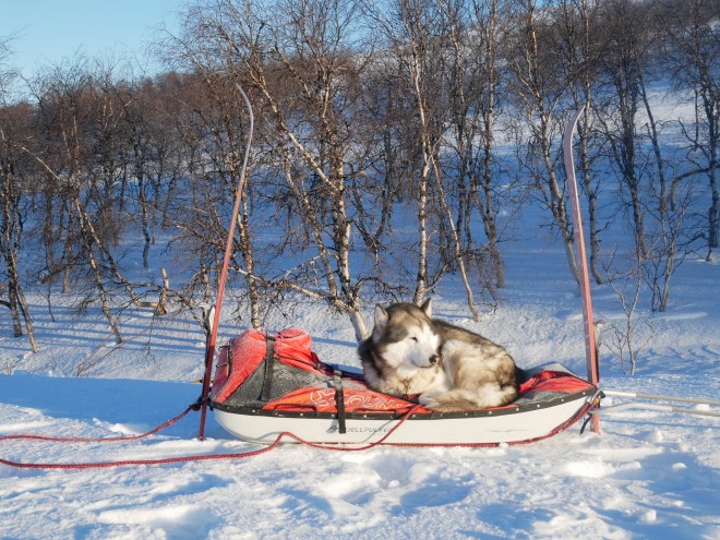 F380D68C-4741-4B61-80D1-6D91A9A55847