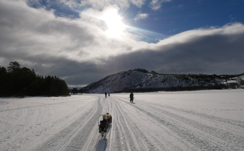 Dag 108: Varm tur fra Skoganvarre til&nbsp;Lakselv