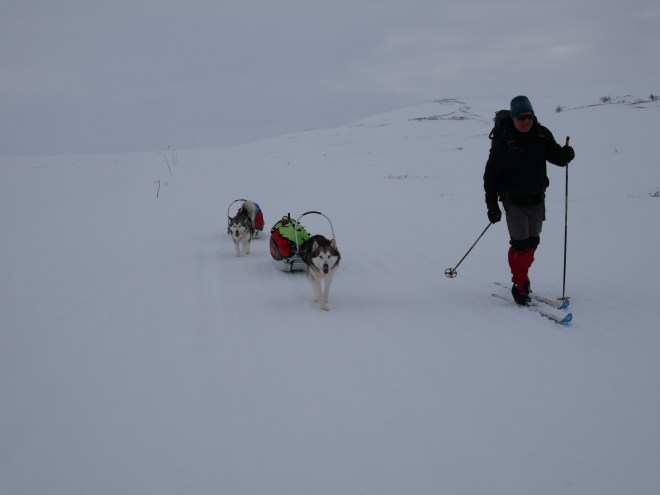 138193E4-79E8-48FB-9F8A-1F0009E19F9C