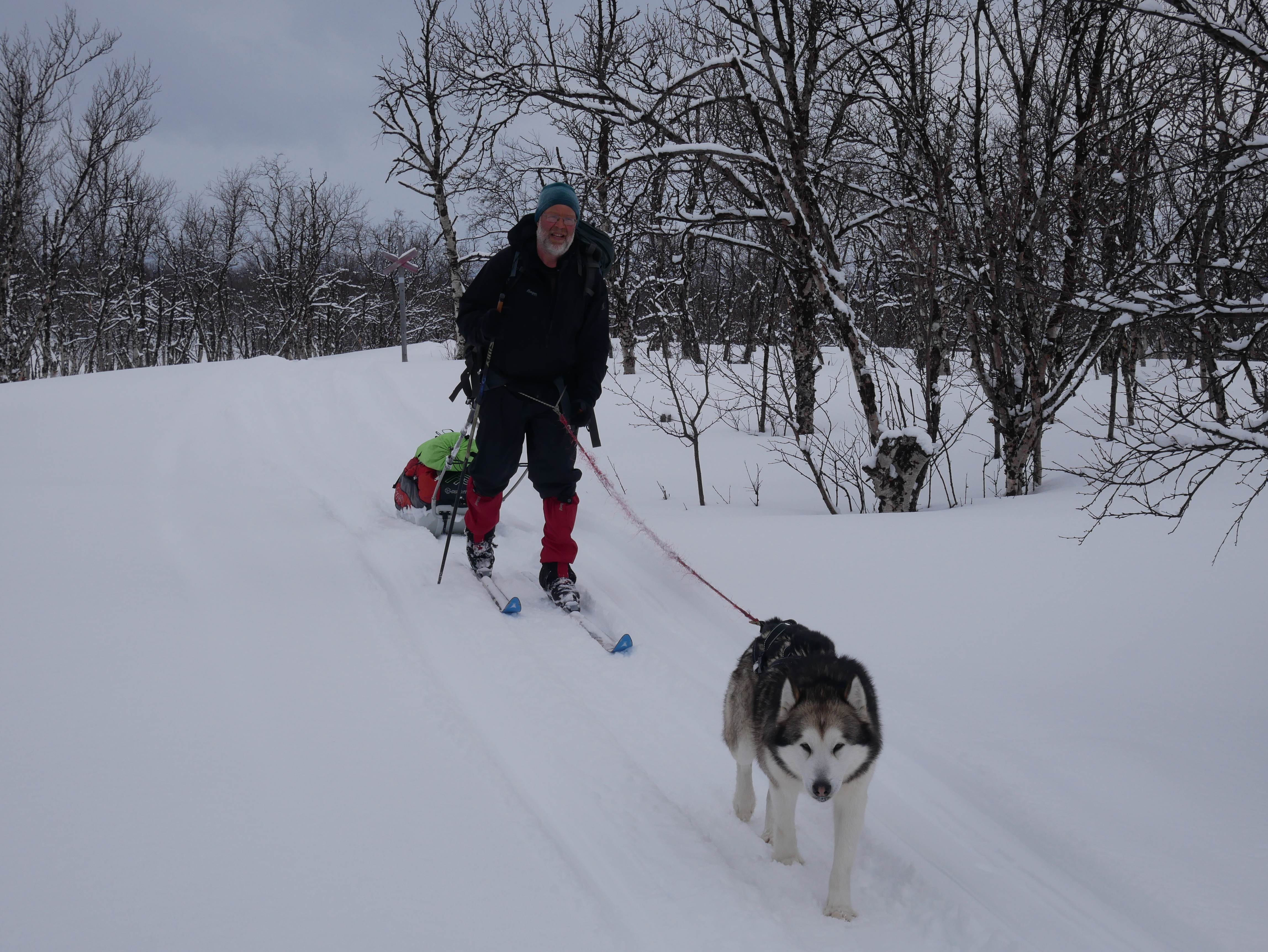 22F8F4B4-0B0E-4144-954D-2CF4983781FF