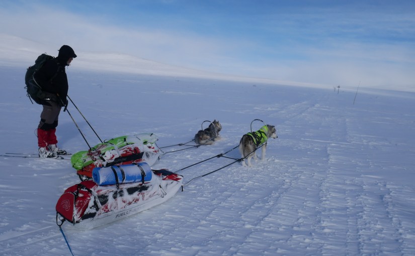 Dag 96: Fra Råstojaure til Keinovuopio på tunge&nbsp;bein