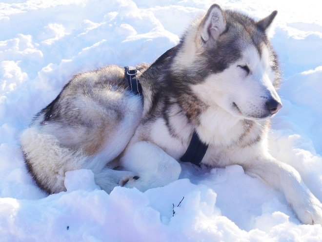 3306712F-6C49-4F44-88E8-7C7A4813945E