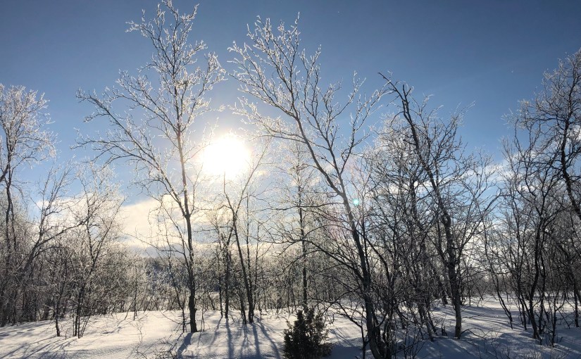 Dag 104: På villspor fra Láhpoluoppal til&nbsp;Ragesluoppal