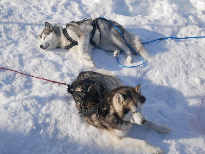 4CFA8D1B-E276-45BB-80EE-4B0F85637387