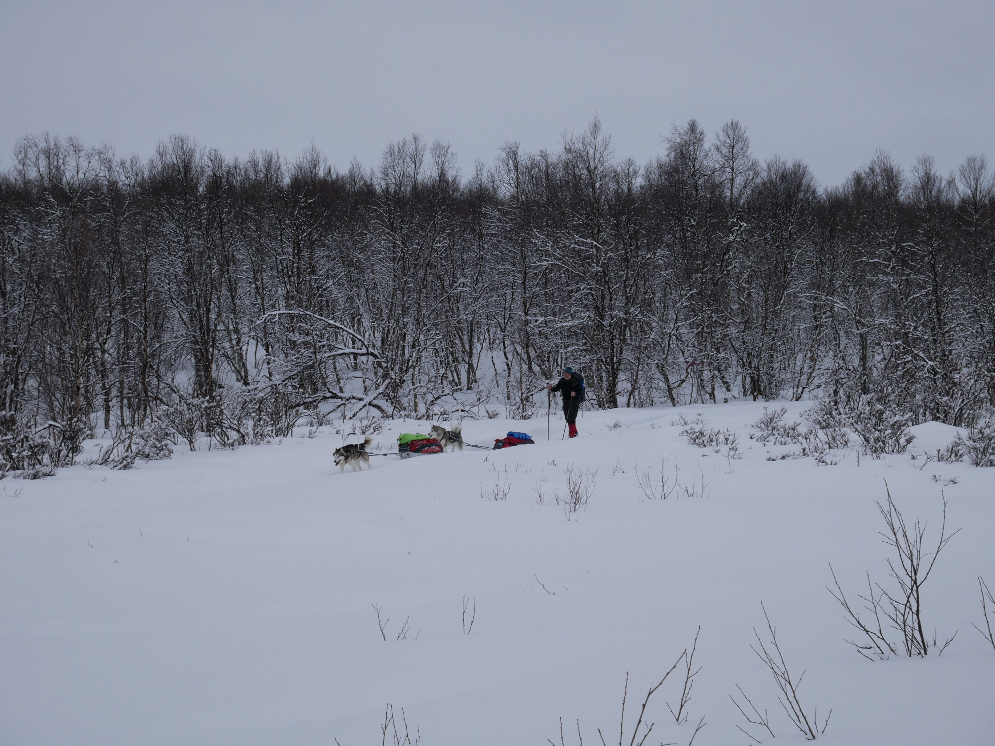 5909BF2C-5CE6-478F-BD46-4BBD33C7790F