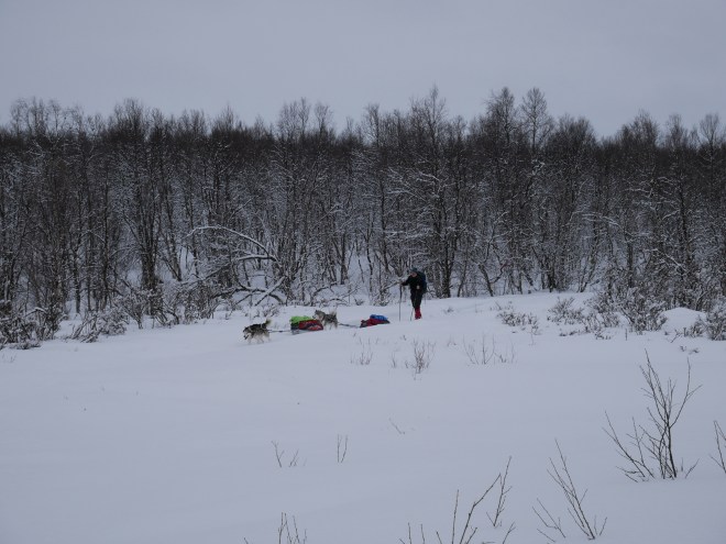 5909BF2C-5CE6-478F-BD46-4BBD33C7790F