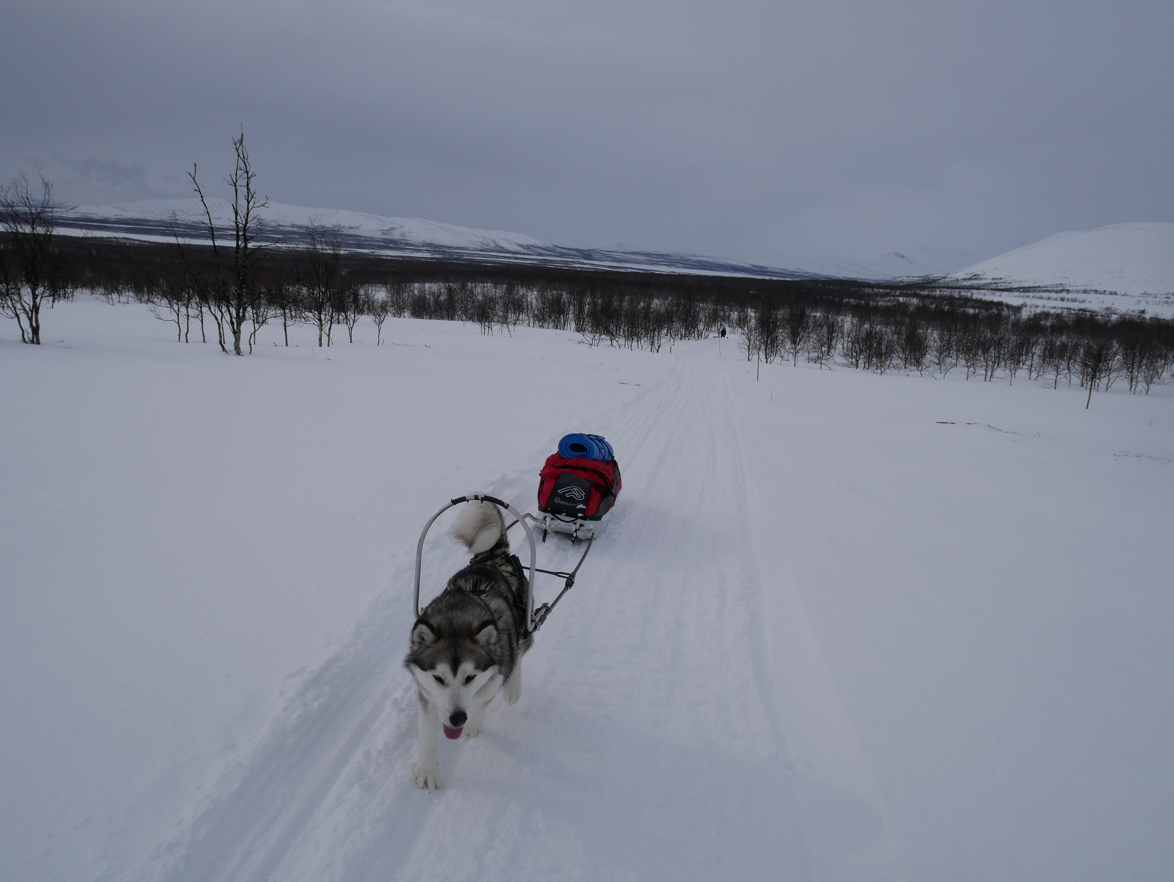 897702AD-12F8-48FF-B413-3E33FD65C954