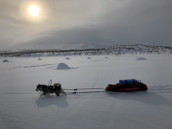 926A2CCF-C9B2-430E-B297-C5EBD66E42D1