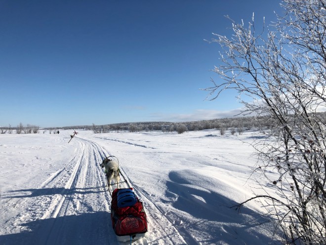 977106ED-E876-48B5-B58E-4E7428D7B182