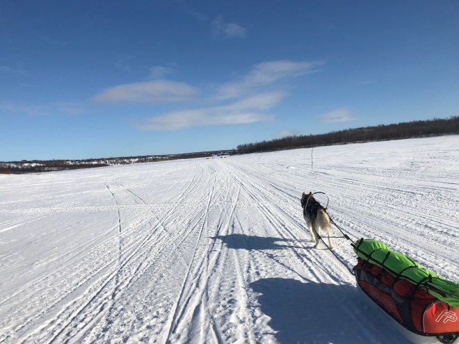 A35005AD-7C6D-4CE1-A73A-6A77A93EBEB4