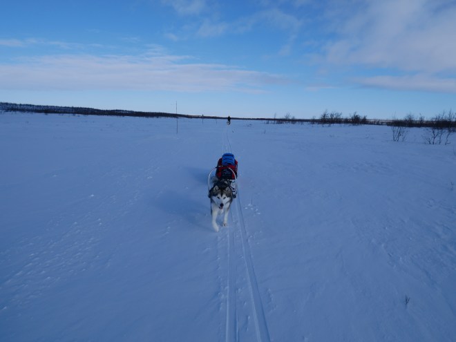 B7F7831D-DA04-4A55-B30B-4D63F890EC9B