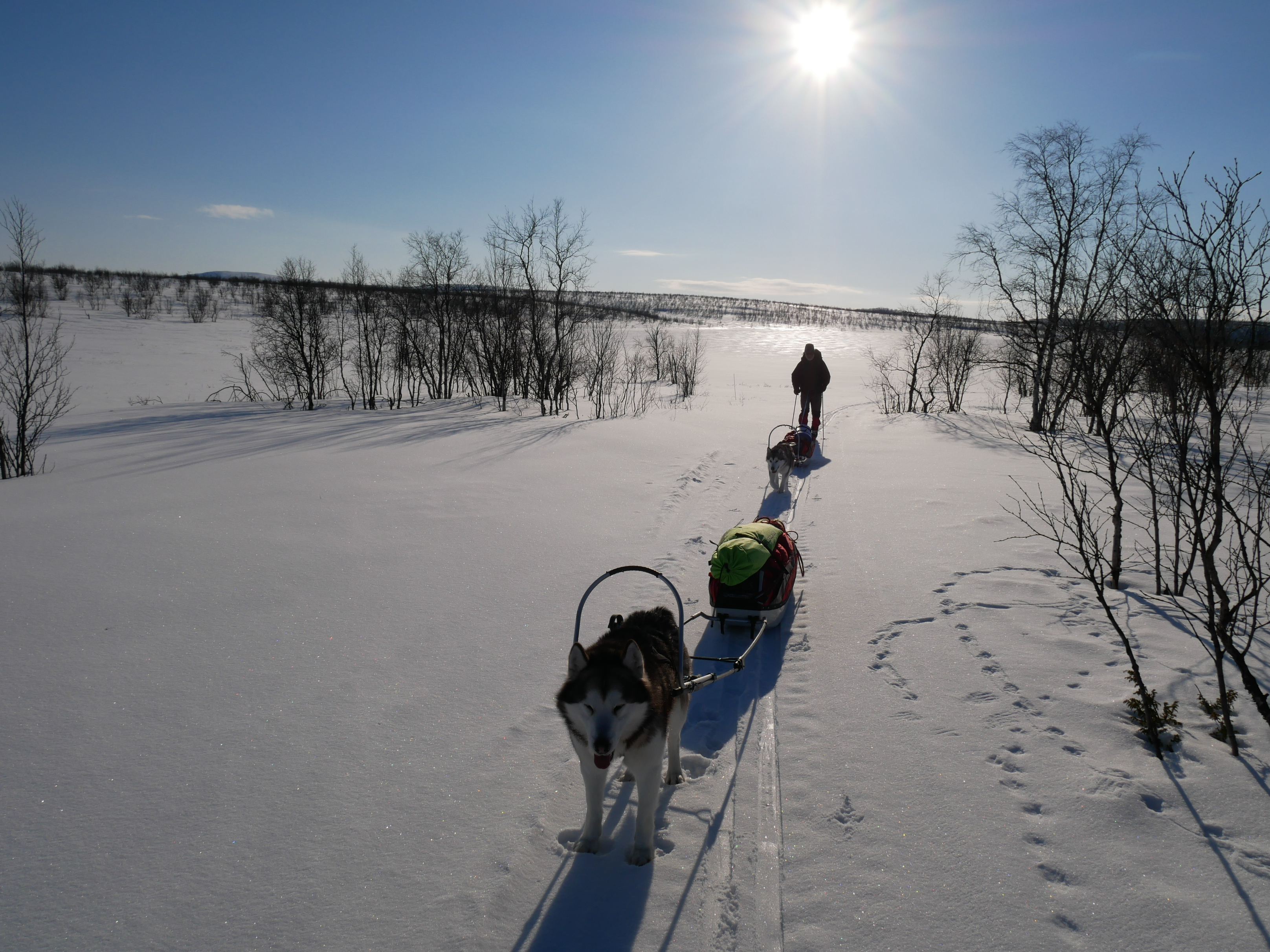 BA948E99-0E7F-4287-AAAC-9DA876963AB3