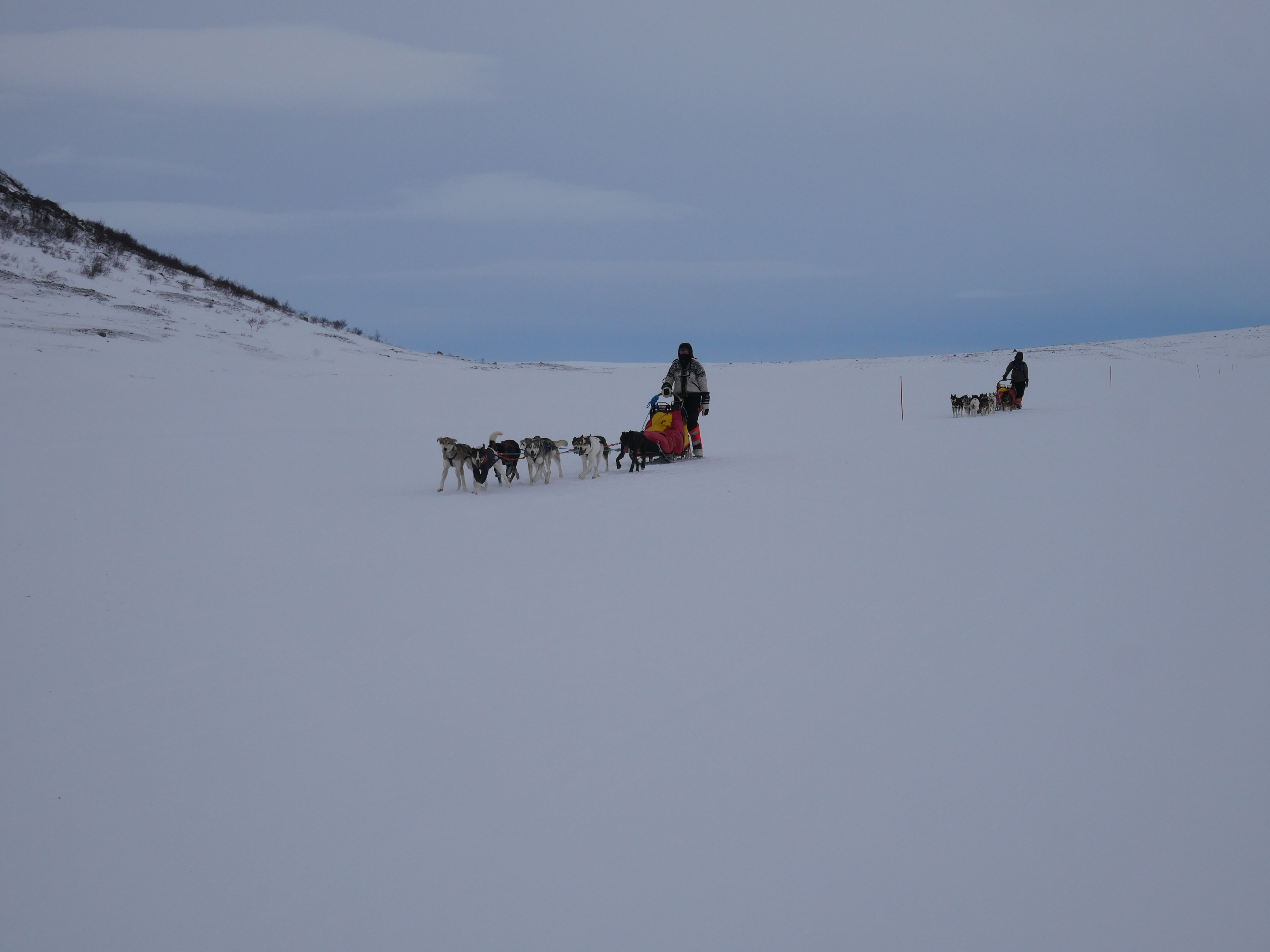 FDBB1455-950F-42BC-8546-DB9D05BBFF46