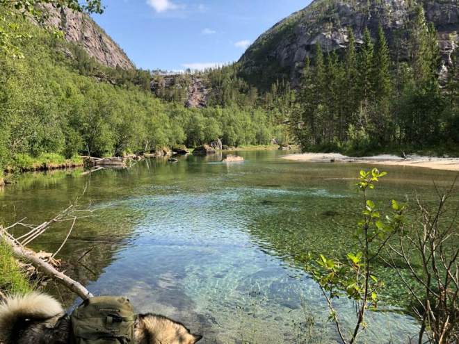 68300819_10219446524142109_1915358167642931200_n