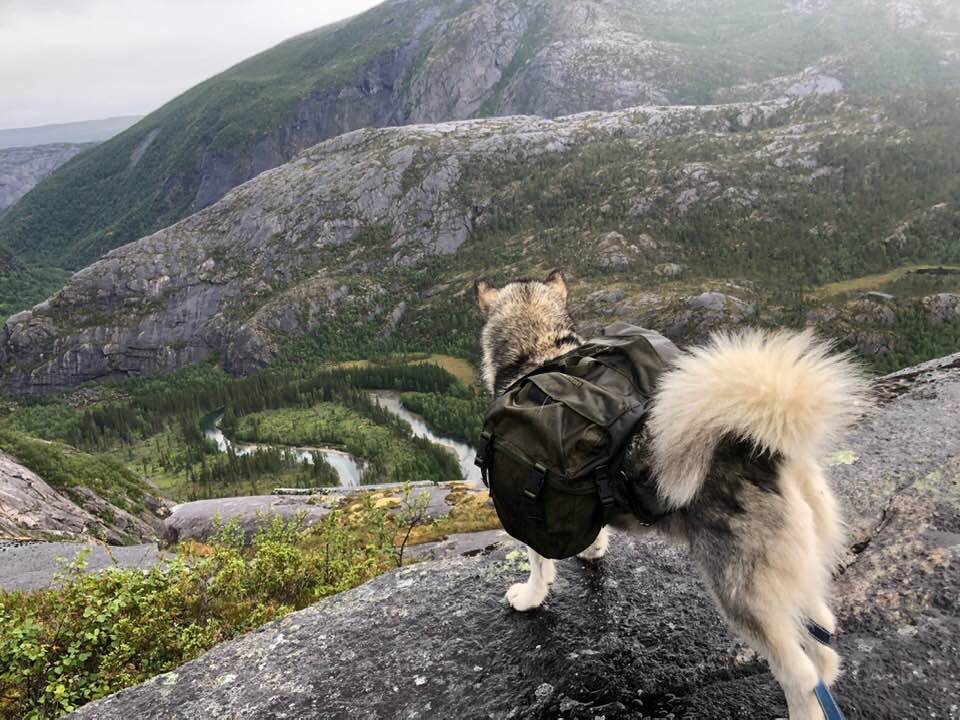 68575008_10219446526622171_5919726116674732032_n