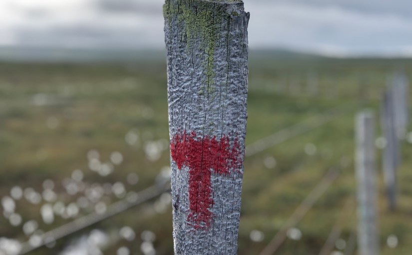 Ruteplan for sommeren&nbsp;2021