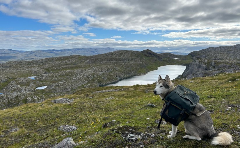 E1 dag 76: Blodslit fra Finnkruhøtta til&nbsp;Kviltjønna