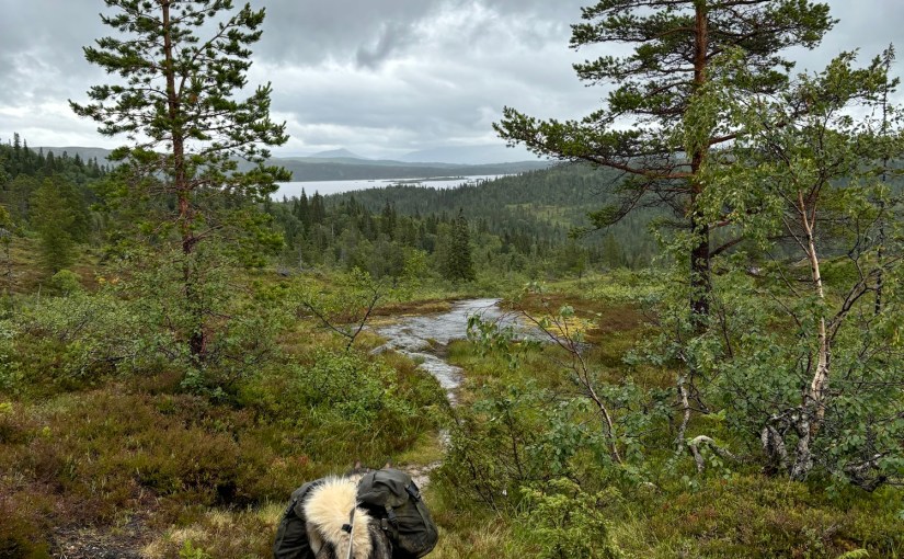 E1 Dag 82: Våt tur fra Grønningen til&nbsp;Holden
