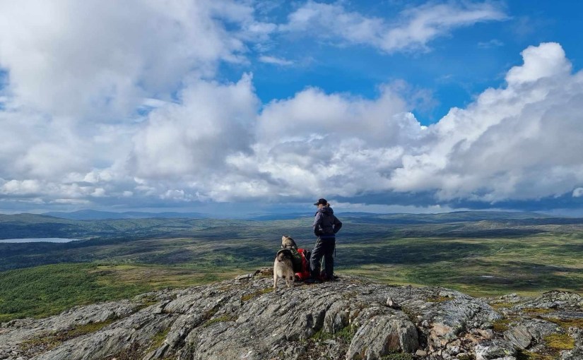 E1 dag 84: Fantastisk tur fra Gaundalen til&nbsp;Setertjønnhytta