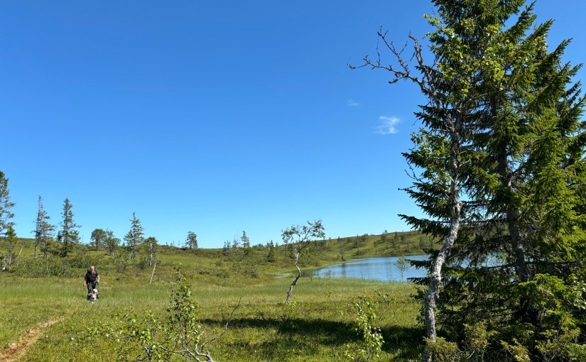 E1 dag 87: Strålende sol fra Veresstua til&nbsp;Bellingstua