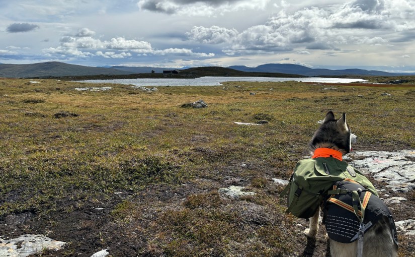 E1 dag 94: Herlig tur fra Stuggudalen til&nbsp;Kjølihytta